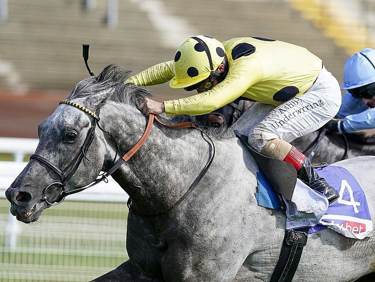 Fujaira Prince wins the Ebor Handicap at York