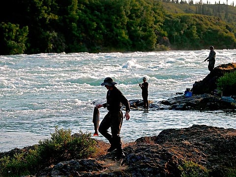 Anglers fish for sockeye salmon along the rapids of the Newwhalen River near Iliamna, Alaska.
