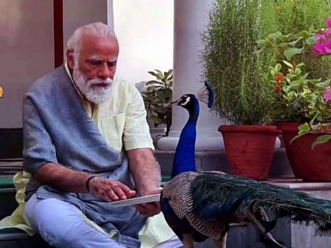 Indian Prime Minister Narendra Modi seen with a peacock at his residence in New Delhi