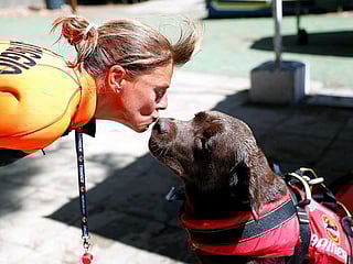 In Pictures: Pooches join Italy beach patrol