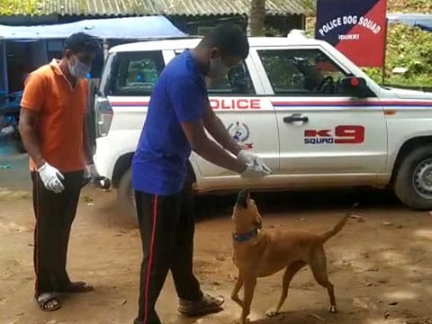 Kuvi, the two-year-old canine, with police dog squad members in Kerala.