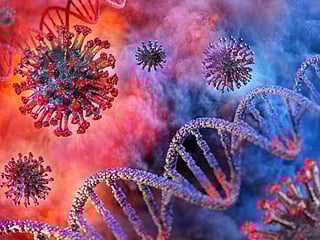 WHO classifies new COVID-19 strain, renamed Omicron, as 'variant of concern'