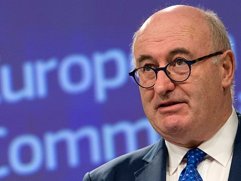 European Commissioner for Agriculture Phil Hogan speaks during a media conference at EU headquarters in Brussels, on April 8, 2019.