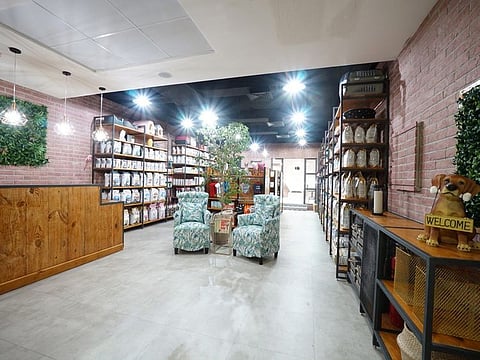 The newly opened Pet Boutique & Spa in Dubai Marina is a warm and inviting place for pets and their owners