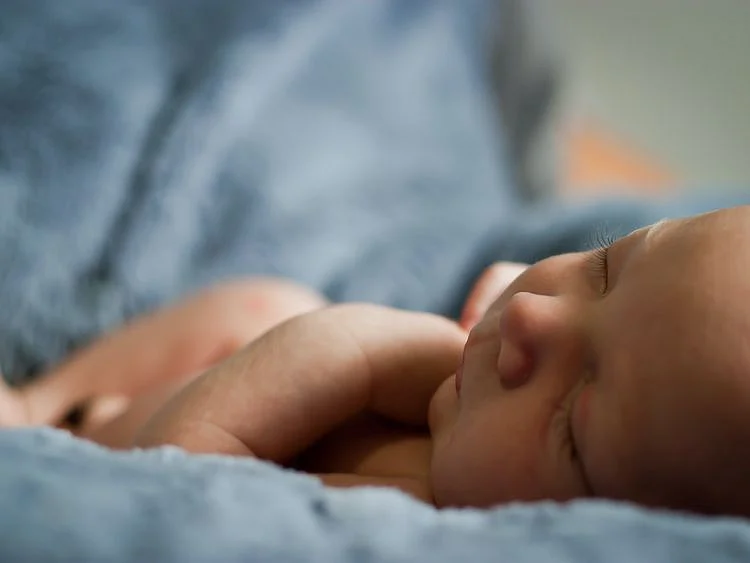 Newborn