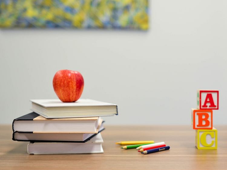 Teacher school