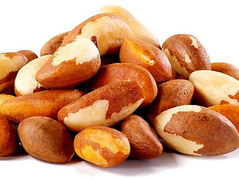 Two types of Brazil nuts have been withdrawn from sale by Qatar’s Ministry of Public Health (MoPH) for potential contamination of Salmonella and Salmonella typhimurium. Photo for illustrative purposes.