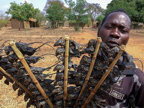 A man sells mice at Manjawira along the Lilongwe-Blantyre road in the Ntcheu District, eastern region of Malawi. 