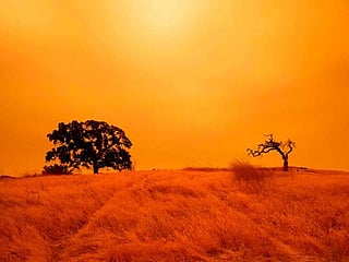 Ominous orange sky gives San Francisco apocalyptic tint