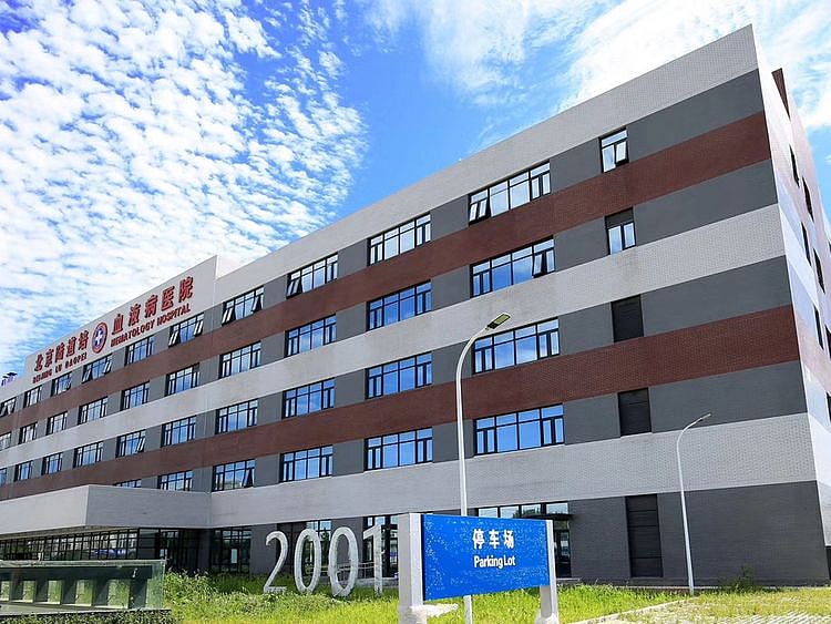 Lu Daopei Medical Group