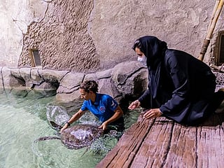 Abu Dhabi to open one of region’s largest animal rescue, rehabilitation facilities