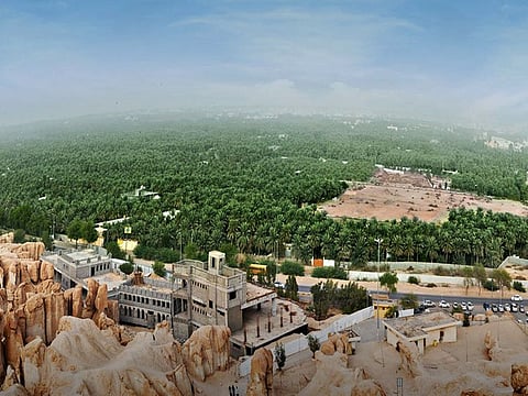 Al-Ahsa is one of the greenest regions in Saudi Arabia.