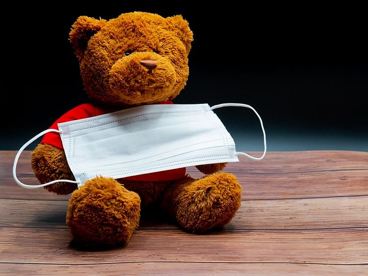 Teddy face mask