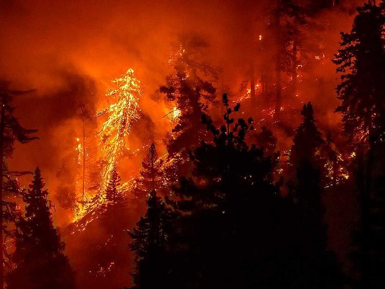 California wildfire