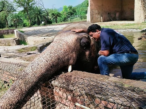 Dr. Amir Khalil caressing Kaavan, Pakistan’s only Asian elephant, during a daily session with the animal in Islamabad’s Marghazar Zoo.