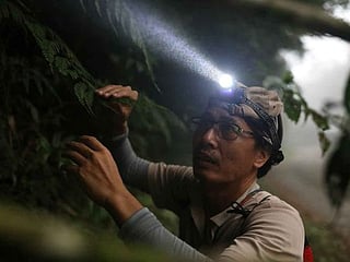 Photos: Plant hunters race to collect rare species before they're gone 