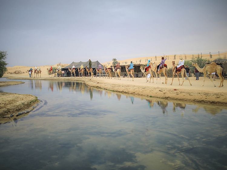 NAT Al Marmoom Camp-1600705675372