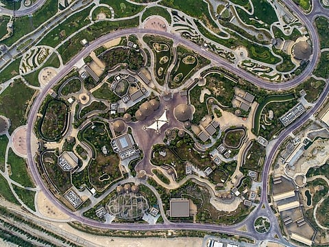 The 119-hectare Dubai Safari Park houses an expanded community of 3,000 mammals, birds, amphibians and invertebrates. 