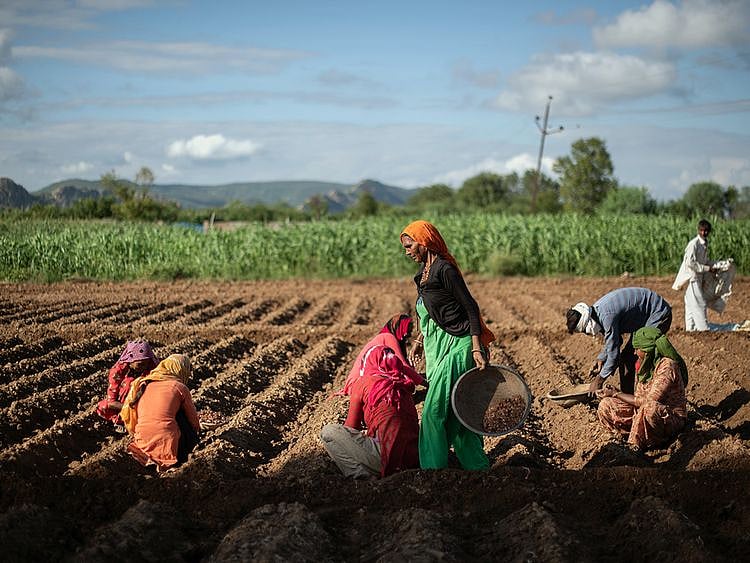 Stock India economy agriculture farmers