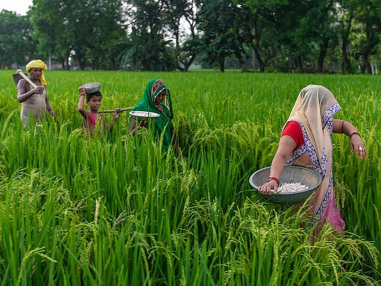 Stock India economy agriculture farmers