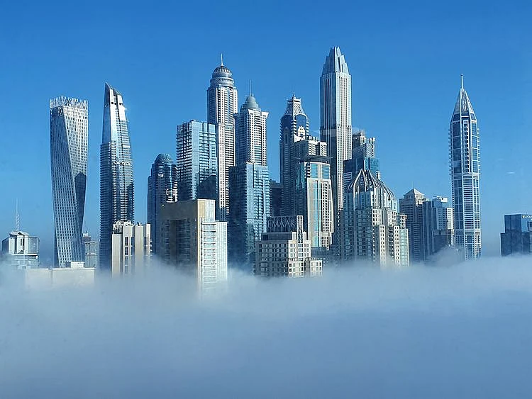 reader picture fog weather