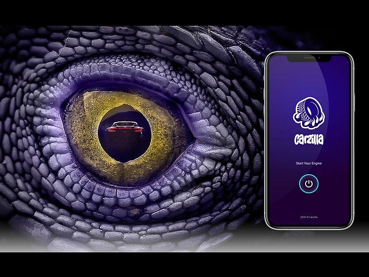 Carzilla comes with a variety of auto-offerings that range from minor to major and  full services