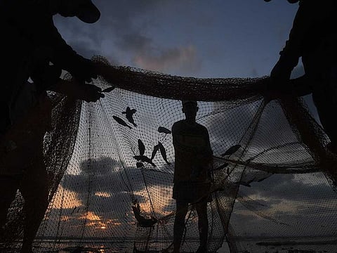 Fishermen remove fish from a net at the Clifton beach in Pakistan's port city of Karachi on October 6, 2020.