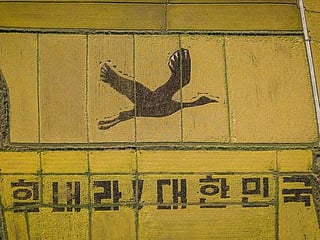 Giant rice crane urges South Koreans to 'Cheer Up!'