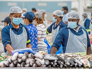 Dubai’s Waterfront Market lures seafood lovers