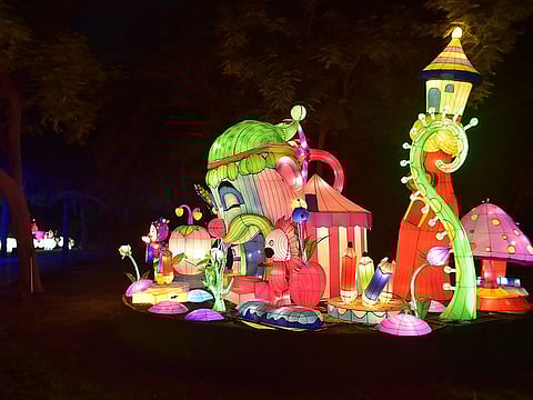 Dubai Garden Glow 