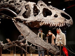 Remains of the day: Dinosaur skeleton fetches $3.52 million 