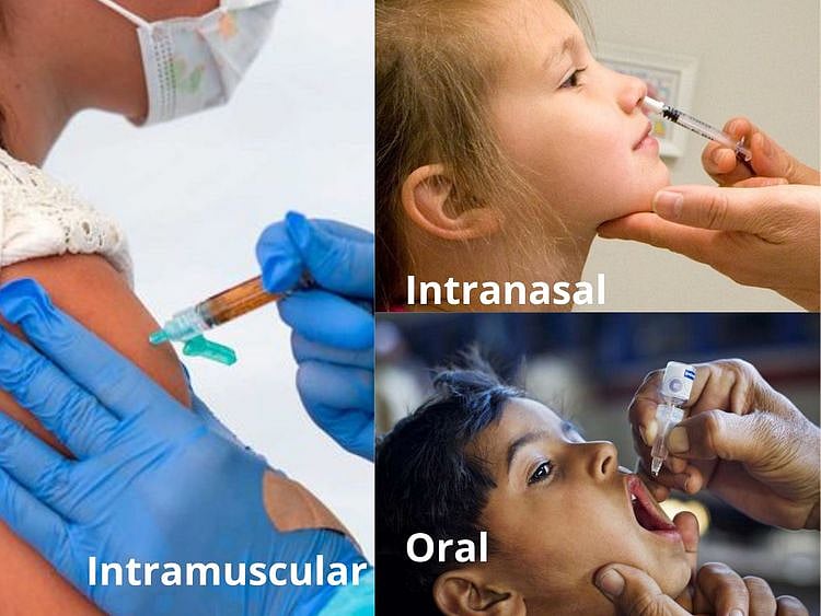 Vaccine administrationtypes