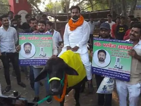 Mohammad Pervez Mansuri was arrested under the Prevention of Cruelty to Animal Act and also for violating COVID-19 guidelines.