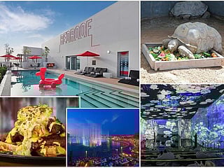 UAE things to do: 10 exciting things to look forward to this weekend