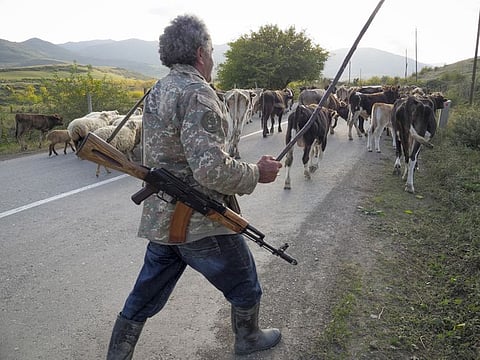 Shepherd Kim Mkrtchian armed with a Kalashnikov drives cows and sheep away from the front line near the town of Martuni, the separatist region of Nagorno-Karabakh, Friday, October 23, 2020. Heavy fighting over Nagorno-Karabakh is continuing with Armenia and Azerbaijan trading blame for new attacks. 