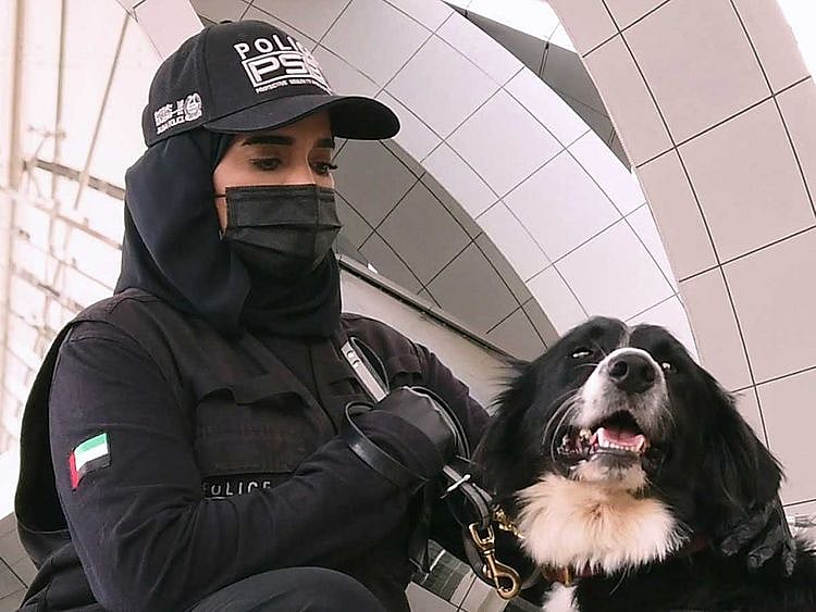 UAE Police sniffer dogs
