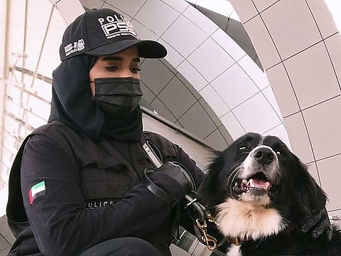 Police sniffer dogs are now being used to detect suspected cases of COVID-19  