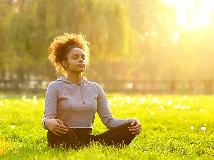 shutterstock_285334655-1603881428678