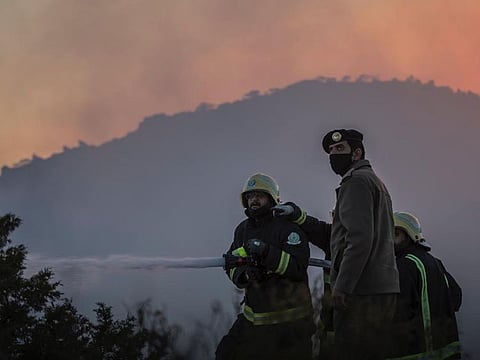 Firemen battle a huge bushfire in south-western Saudi Arabia. 