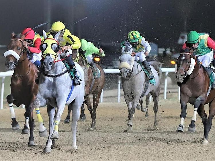 Bernardo Pinheiro and Jayide Al Boraq win at Al Ain. 