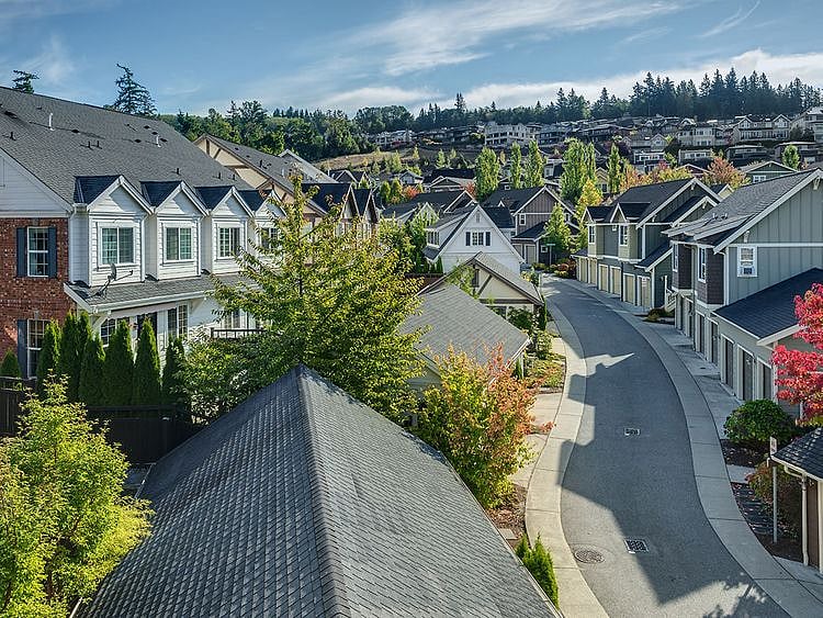 neighborhood stock generic