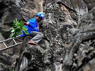 Saving Angkor Wat: Cambodia's ninja gardeners tame jungle growth