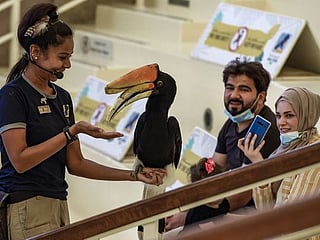 In Pictures: Dubai’s tourism industry gains pace with reopening of top attractions