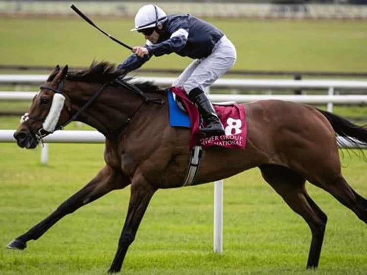 Horseracing - Melbourne Cup