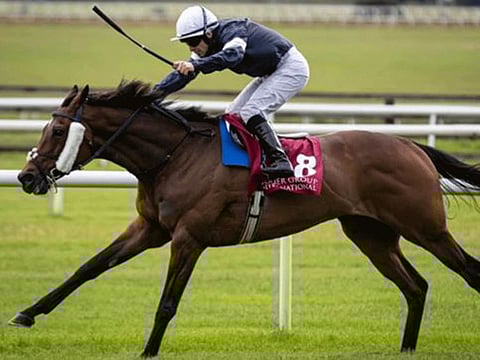 Twilight Payment on way to winning the Melbourne Cup, which was held behind closed doors on Tuesday.