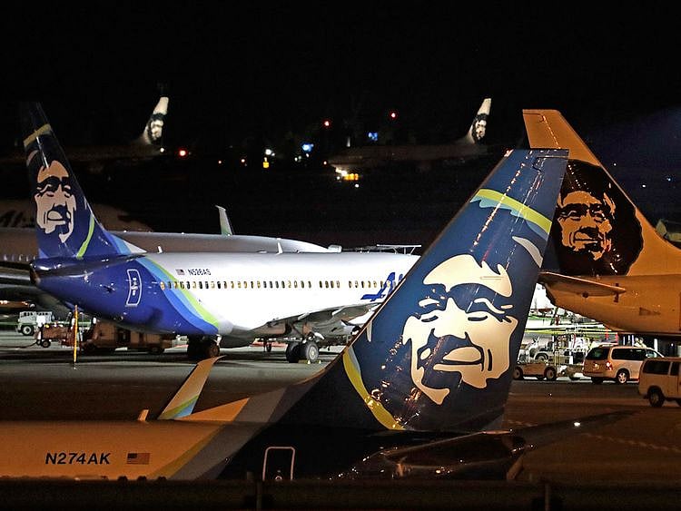 Alaska_Jet_Accident_Bear_36005