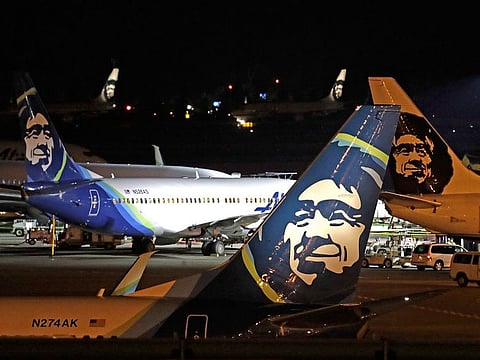 The Boeing 737-700 killed the brown bear sow, but a cub thought to be about 2 years old was uninjured.