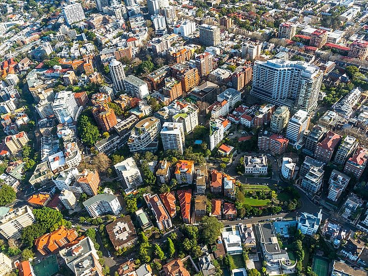 Google launches AI platform to help cities plant more trees