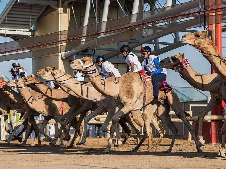 NAT  archive of last season-1606388766844