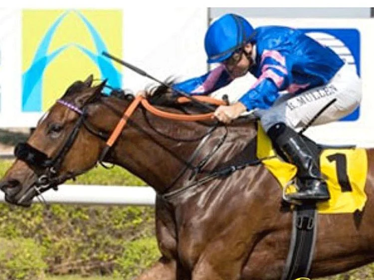 Horseracing - Raayhi